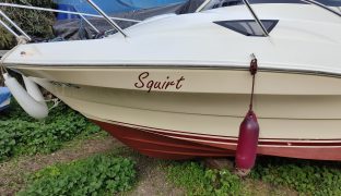 Quicksilver 540 - Squirt - 2 Berth Motor Boat