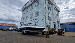 Bayliner 19 - Ecstasy - Speed boat with trailer 