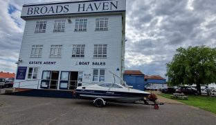 Bayliner 19 - Ecstasy - Speed boat with trailer 