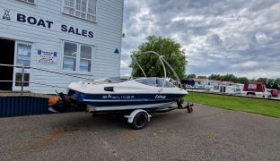 Bayliner 19 - Ecstasy - Speed boat with trailer 