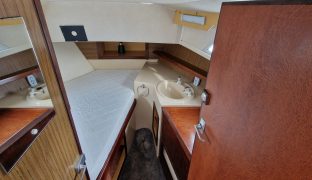 Connoisseur 42 - Zanndamon - 8 Berth 8 berth inland river cruiser 