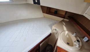 Connoisseur 42 - Zanndamon - 8 Berth 8 berth inland river cruiser 