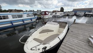 Quicksilver ACTIV 455 Open - Day boat